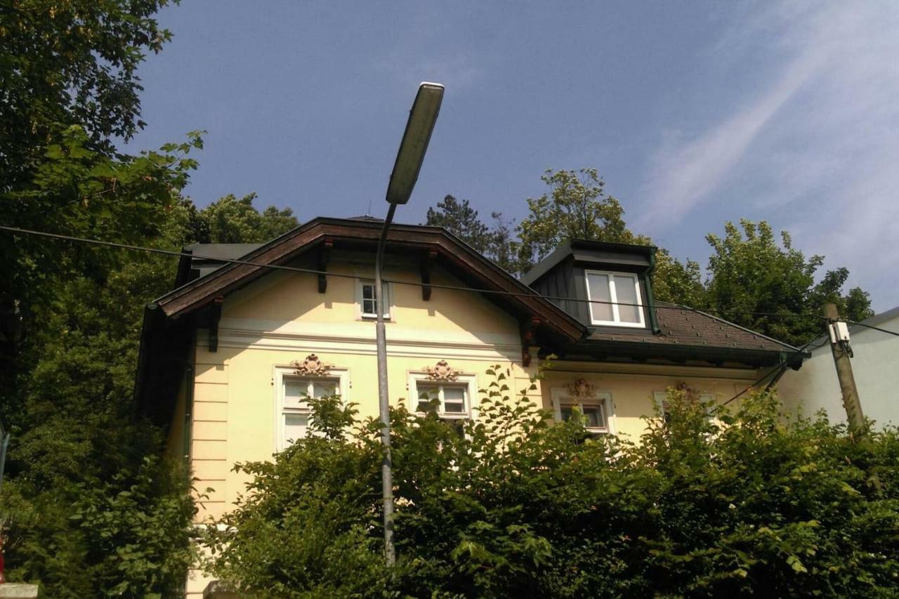 Ruhige, Grosse Ferienwohnung Am Muehlberg, Stadtrand 비엔나 외부 사진
