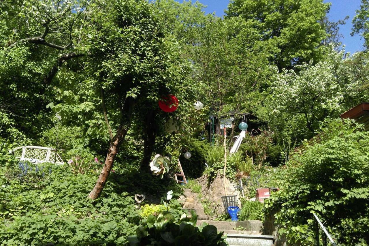 Ruhige, Grosse Ferienwohnung Am Muehlberg, Stadtrand 비엔나 외부 사진